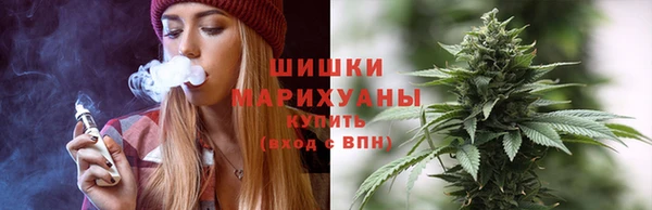 стаф Балахна