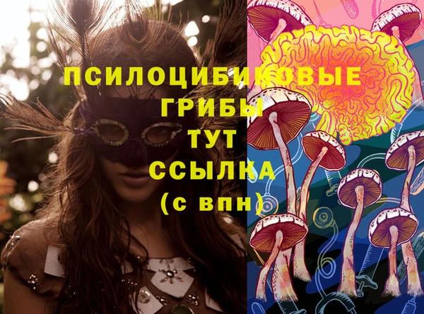 стаф Балахна