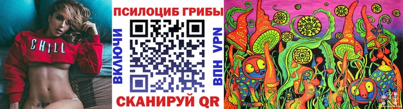 Галлюциногенные грибы Psilocybe  Пятигорск 