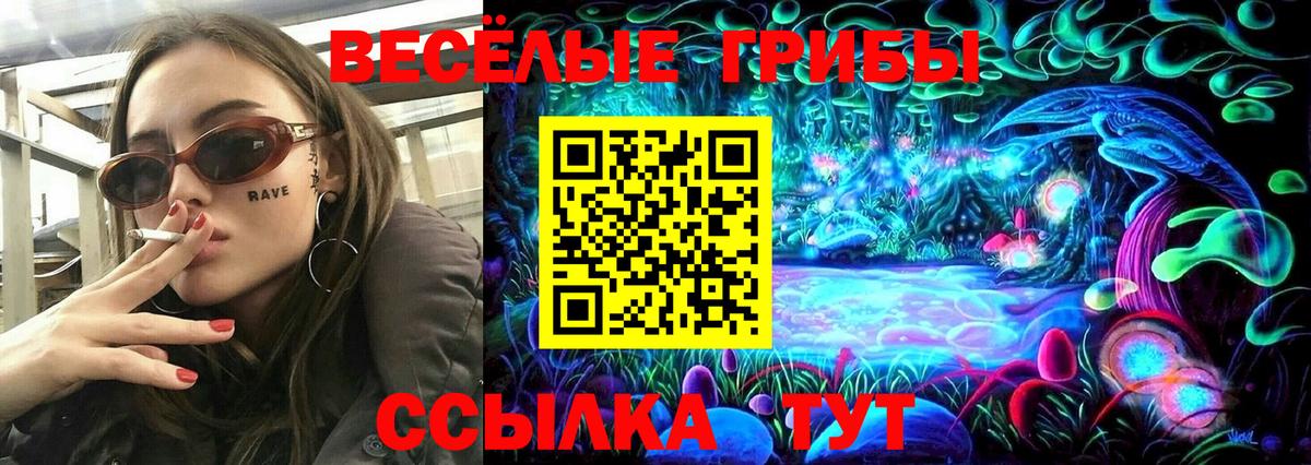 наркошоп  Галлюциногенные грибы GOLDEN TEACHER  Вход с VPN  Пятигорск 